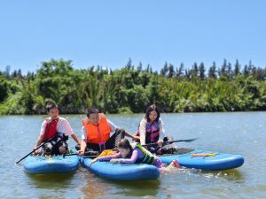 万宁日月湾｜水椰林浆板